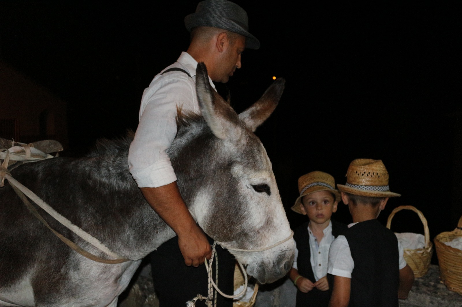 Palio del Ciuccio 2014